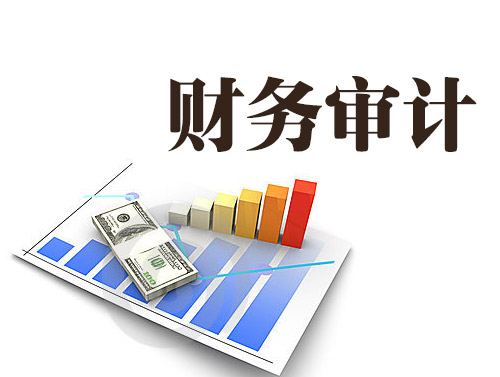 財(cái)務(wù)審計(jì)