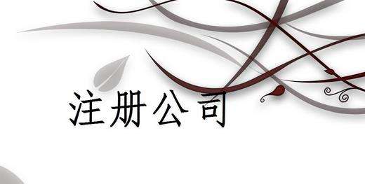 注冊美國公司類型介紹