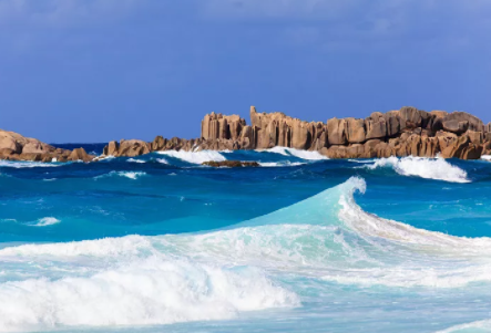 塞舌爾公司逾期年審有什么后果？